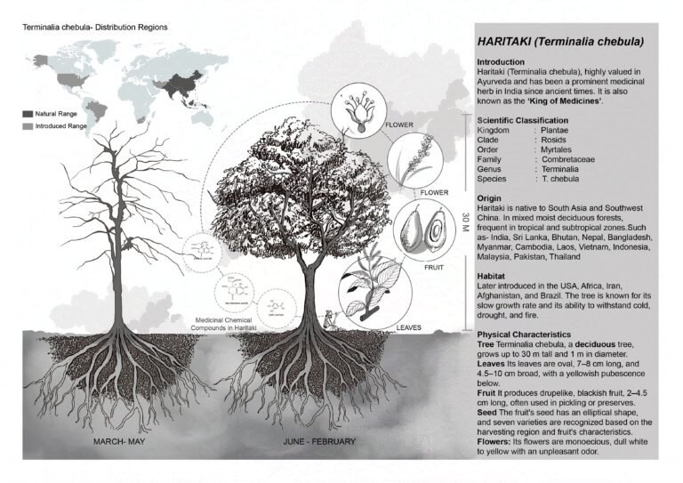 Landscape (2)-protected-intensity-LOW-V1
