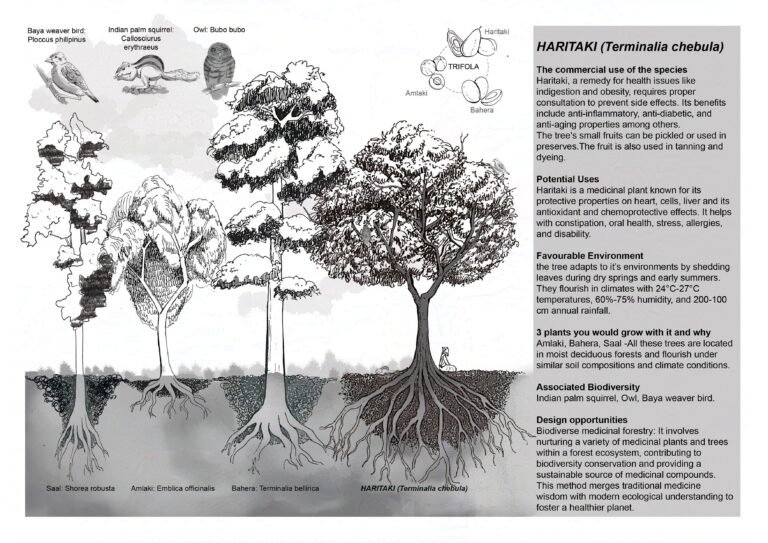 Landscape (3)-protected-intensity-LOW-V1